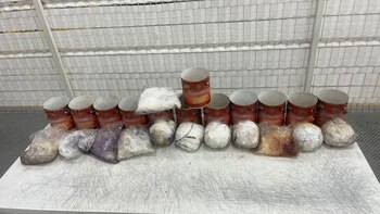 Contenido de latas decomisadas por