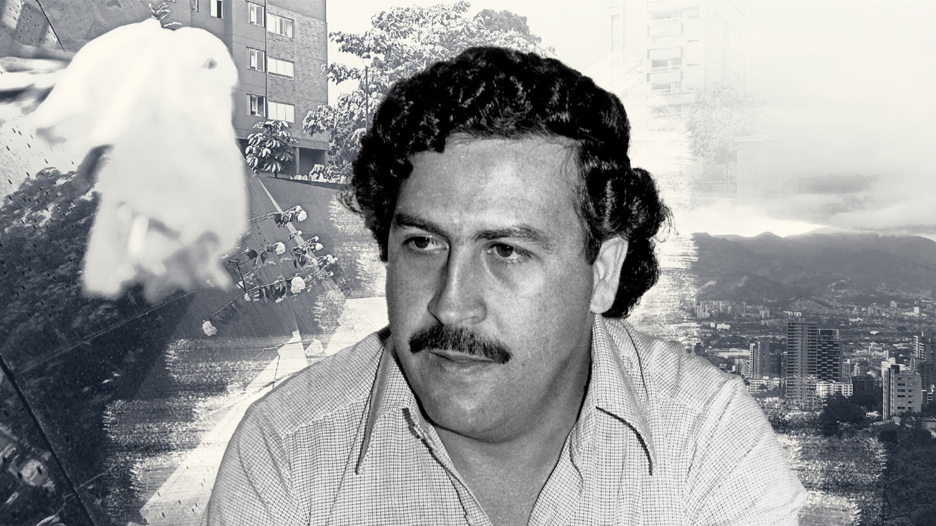 El asesinato que Colombia nunca olvidó: un gol en contra, seis balazos en  la cara y la sombra criminal del narcotráfico - Infobae