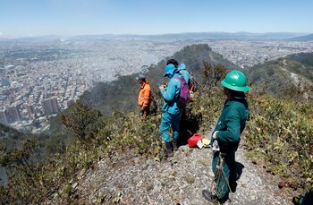 Se espera que continúen las