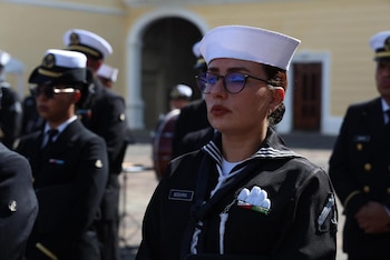 Los elementos (pertenecientes al Sistema