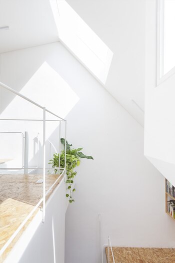 PH Lavalleja se implanta en