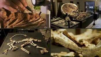 La actual pampa gaucha, en