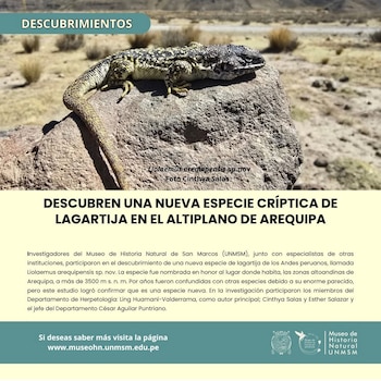 Infografía con una fotografía de una lagartija sobre una roca en un terreno árido, con texto explicativo y un logotipo en la parte inferior