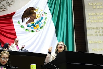 La diputada morenista aseguró que