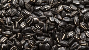 Los maravillosos beneficios de las