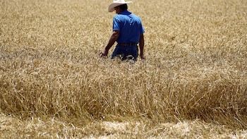 “La mejor forma de trabajar