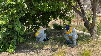 Investigadores de UCLA impulsan acciones