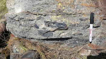 Descubrieron que un antiguo y