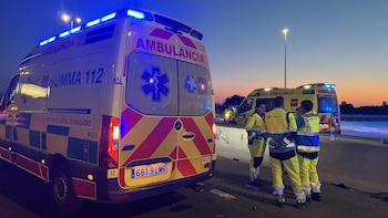 Un joven de 17 años muere atropellado por un coche en la A-1