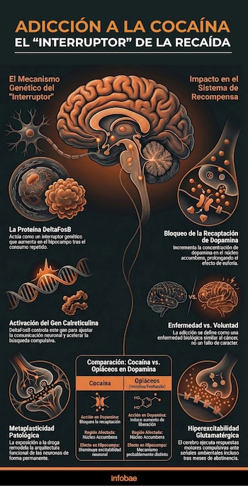 Entender la adicción como enfermedad, y no como falta de voluntad, impulsa la desestigmatización y nuevas políticas públicas para el tratamiento de adicciones
