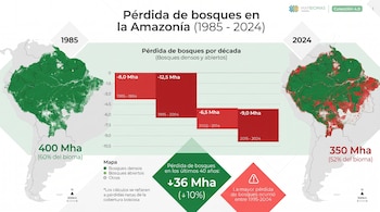 Infografía de Mapbiomas Amazonía. Mapas comparan bioma amazónico en 1985 (400 Mha) y 2024 (350 Mha) con bosques verdes y áreas rojas deforestadas. Gráfico de barras de pérdida.