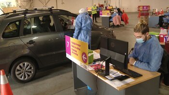 Tras la inoculación, los autos