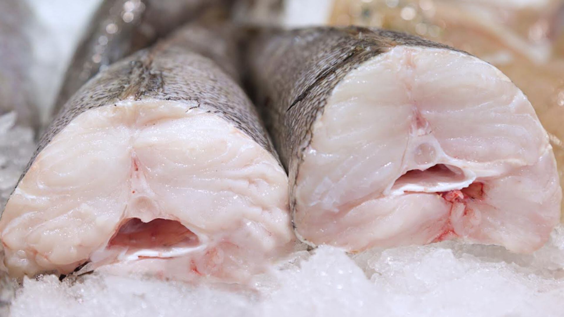 Además de su éxito comercial, la merluza destaca por sus propiedades nutricionales. Según ADEX, este pescado es una fuente rica en proteínas y minerales esenciales como el selenio, fósforo y potasio.