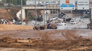 Expertos aclaran qué es la