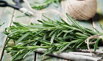 El romero tiene propiedades antiinflamatorias