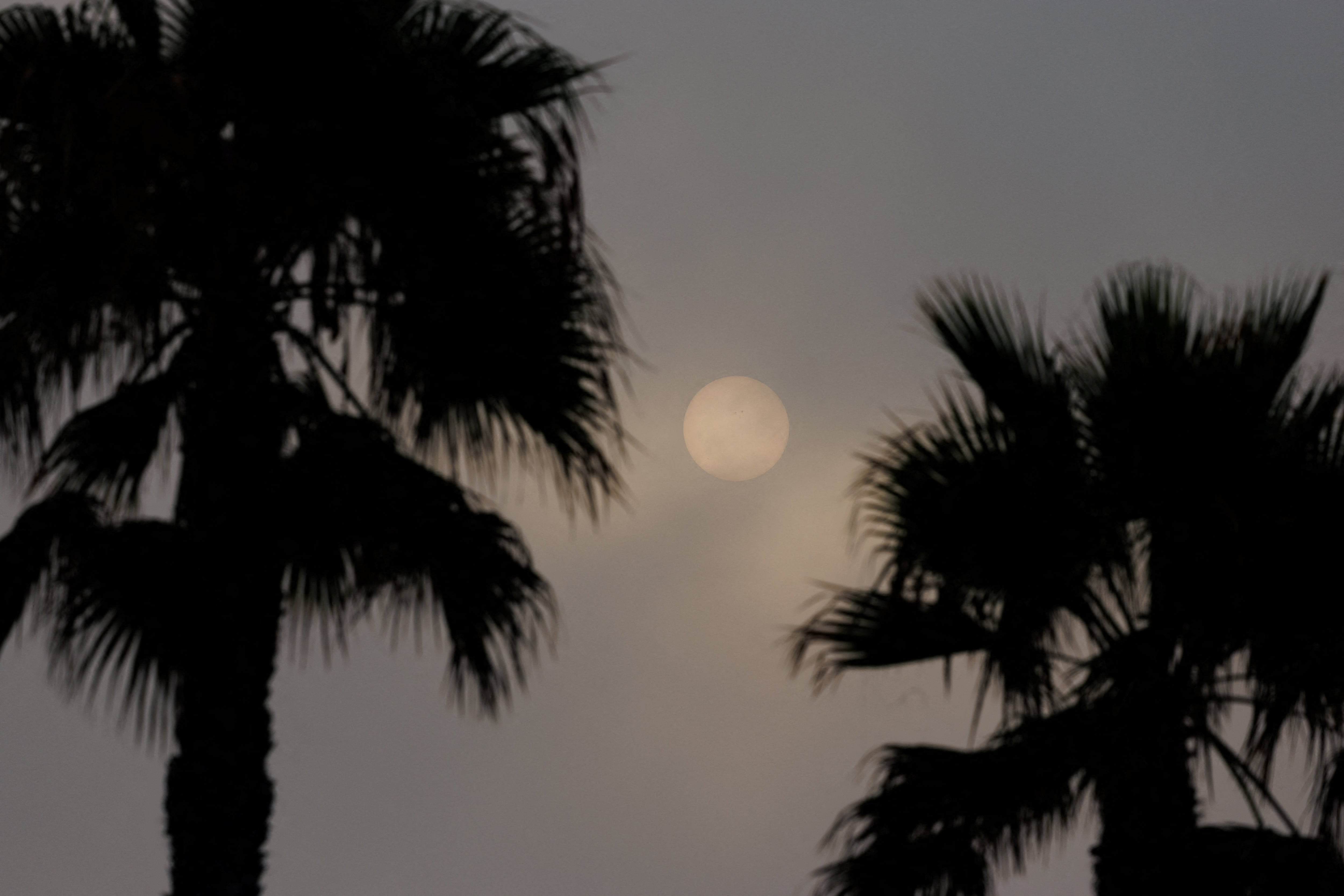 La humedad en el sur de California se extendió con fuerza por la noche y dejó récords de temperatura mínima en ciudades como Burbank, Long Beach y Oxnard (REUTERS/Mike Blake)