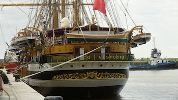 Cuándo llegará a Puerto Vallarta
