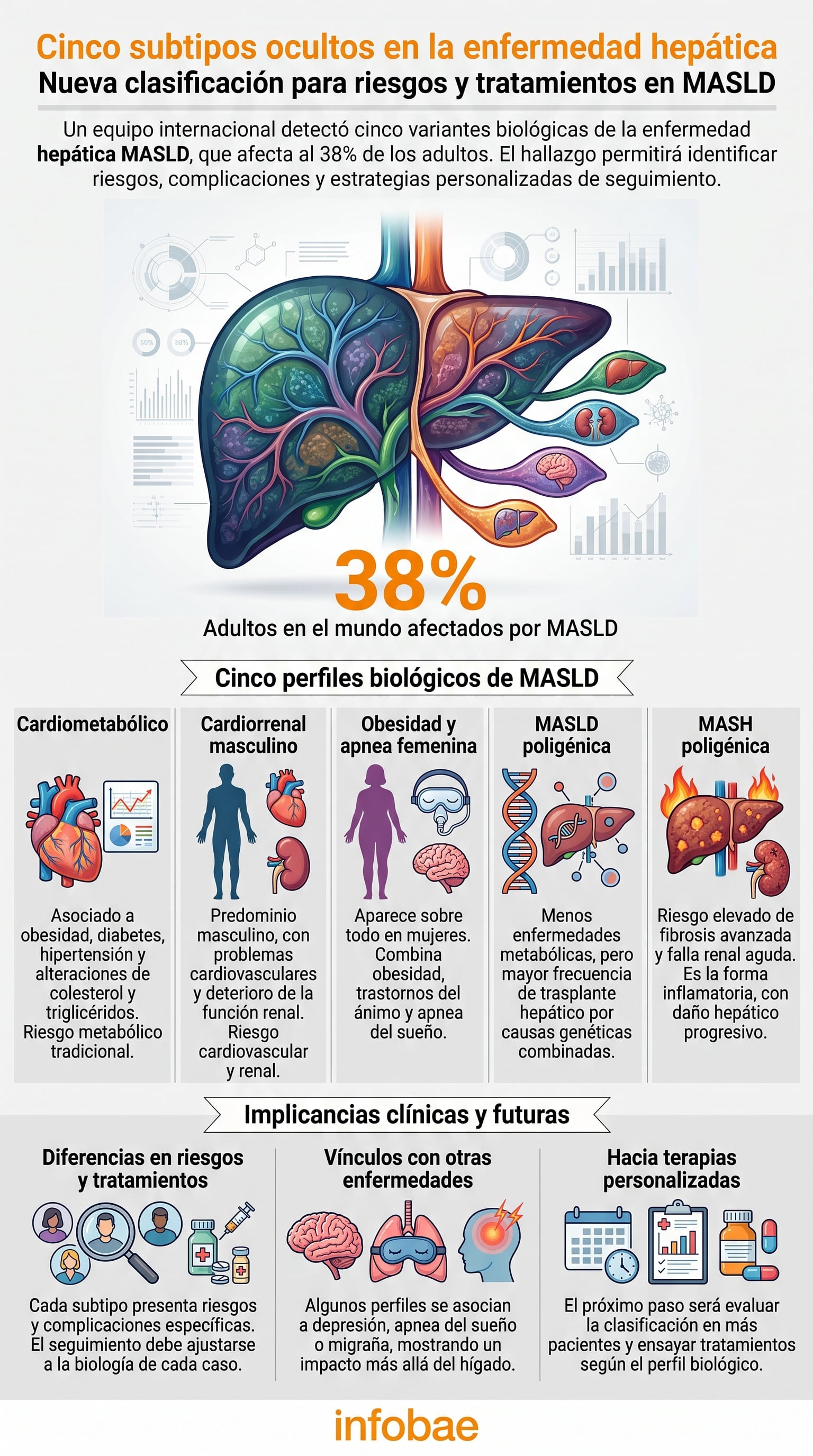 El estudio publicado en Nature Communications planteó que la MASLD no sigue un único curso y que sus subtipos presentan riesgos distintos de cirrosis, cáncer, insuficiencia hepática y enfermedad cardiovascular (Imagen Ilustrativa Infobae)