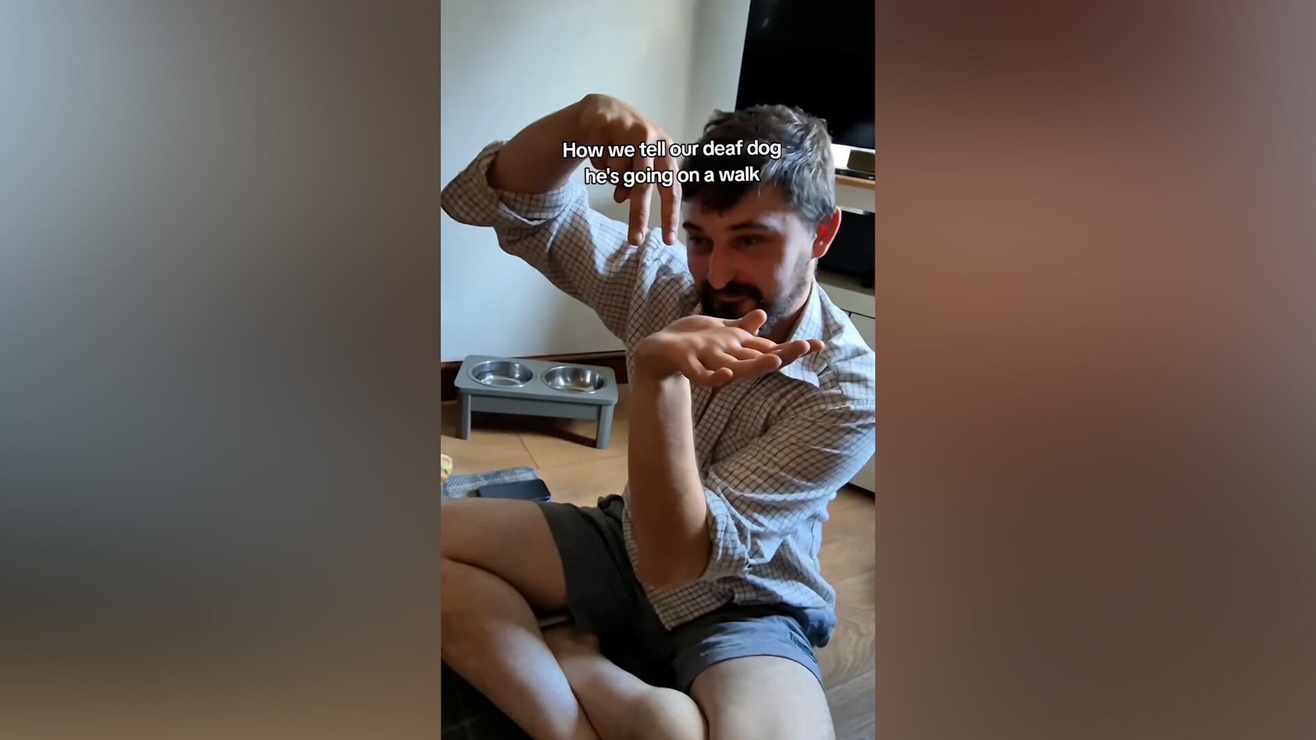 El video de Bruno superó las 11 mil reproducciones y generó cientos de comentarios que destacan la inclusión y el amor hacia los perros con discapacidad