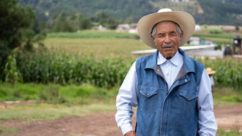 Bienestar 2024: Qué beneficiarios reciben