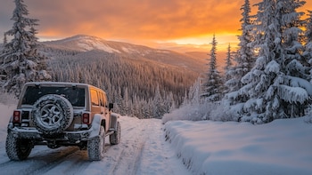 Consejos esenciales para cuidar tus
