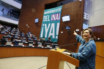 El Senado tiene atorado desde