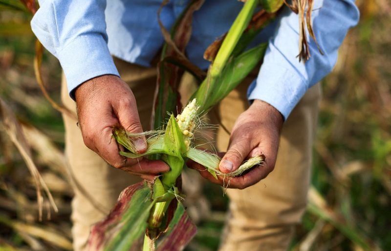 El 16% de la población de El Salvador enfrentará inseguridad alimentaria aguda entre julio y octubre