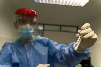 El estudio estimó que las