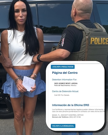 Inés Gómez Mont permanece bajo custodia del Servicio de Inmigración y Control de Aduanas (ICE)