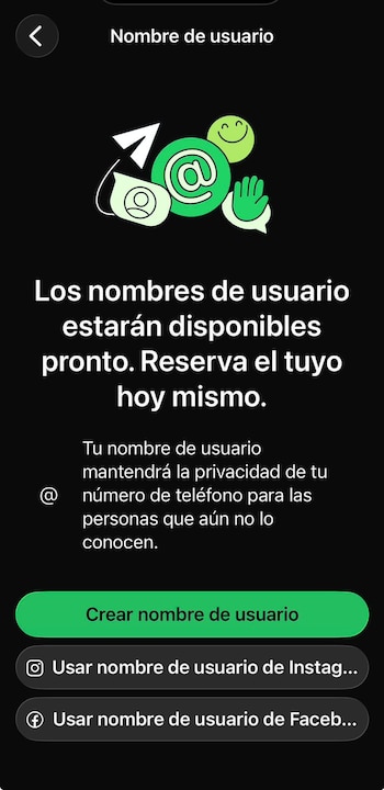(WhatsApp)