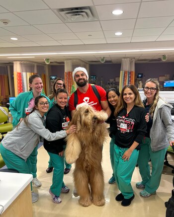 El perro conviviendo con las