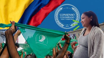La declaración sostiene que no existe un derecho internacional al aborto expresamente consagrado en los tratados internacionales de derechos humanos, aunque algunos órganos internacionales han desarrollado interpretaciones sobre este tema a partir de las disposiciones de dichos tratados - crédito Visuales IA