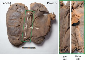 Otro hallazgo importante en 2024