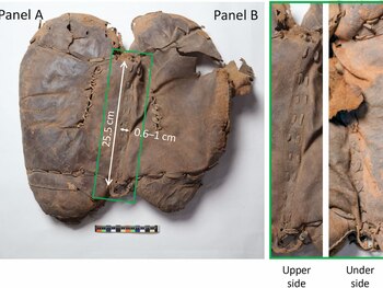 Otro hallazgo importante en 2024 fue el descubrimiento de la silla de montar más antigua jamás encontrada