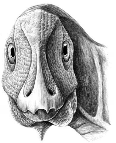 La preservación de fósiles con tejidos blandos puede revelar secretos biológicos ocultos, fundamentales para estudiar la evolución del cáncer en especies prehistóricas. (MDPI)