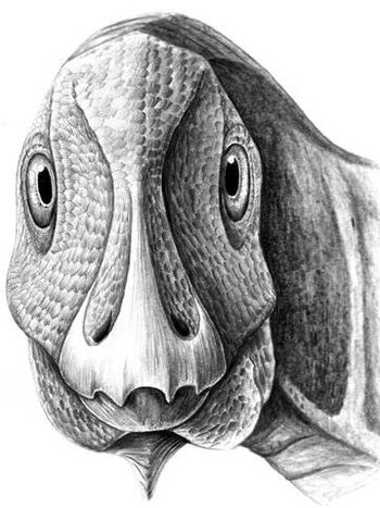 La preservación de fósiles con