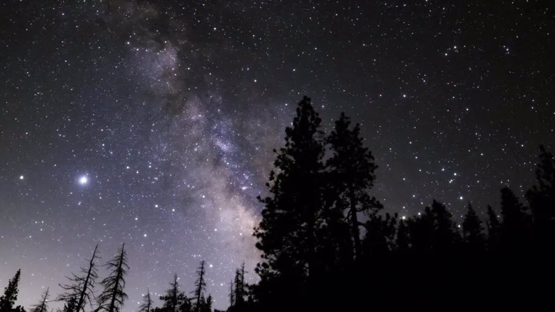 Venus destacará como el objeto más brillante del conjunto y funcionará como referencia visual para localizar a los demás planetas cercanos(NASA/NIGHT SKY NETWORK)