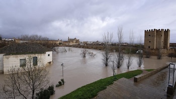 El Córdoba CF solicita el