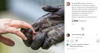 La imagen que Liz Solari