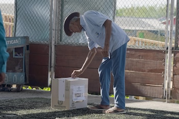 - crédito @Registraduria/X