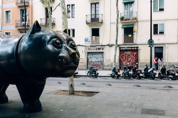 Instalado en el paso de