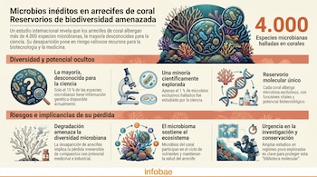 Infografía detallada sobre la diversidad microbiana en arrecifes de coral, mostrando corales, microorganismos, equipos de laboratorio y un buceador explorando el fondo marino.