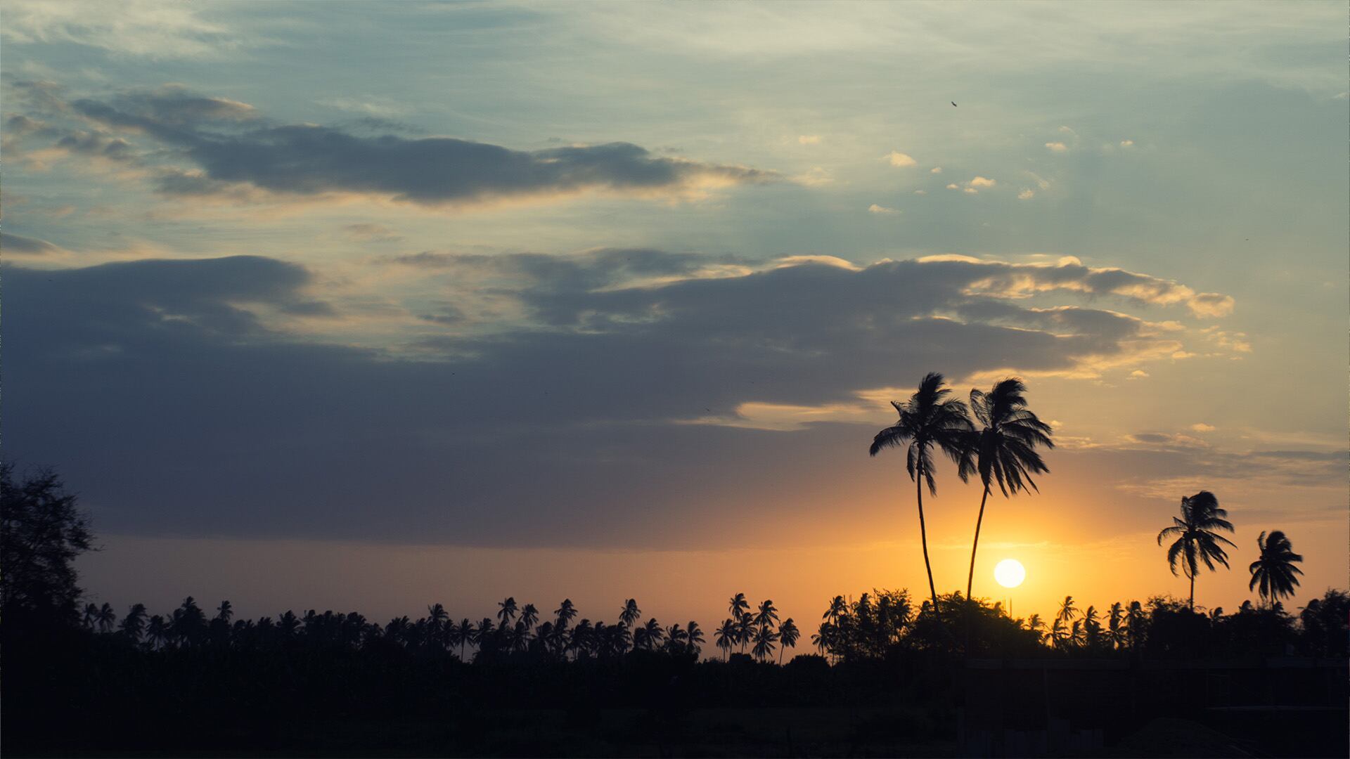 Pronóstico del clima en Piura este miércoles: temperatura, lluvias y viento