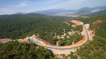 ¿Qué tan peligrosa es la