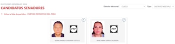 Sitio web de elecciones mostrando los perfiles de Gorix Sandro Echegaray Castillo y Rene Dimna Zúñiga Calderon, candidatos al Senado por Cusco, con el logo del PPP