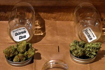 Canna Provisions ofrece una experiencia