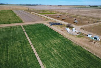 El riego por goteo subterráneo