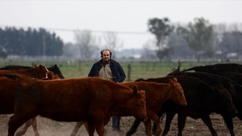 La confianza del sector agropecuario en el Gobierno tocó su nivel más alto en casi una década