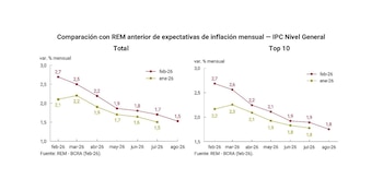 Las proyecciones del último Relevamiento