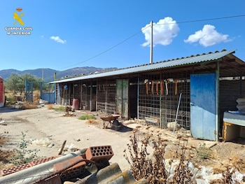 09/10/2026 Lugar donde se encontraba la rehala de perros..
Agentes de la Unidad de Protección de la Naturaleza (Uprona) de la Guardia Civil de Talavera de la Reina han detenido a una persona de 40 años de edad como presunto responsable de los delitos de maltrato de animales domésticos, así como abandono continuado, tras localizar a un total de 14 perros muertos en sus habitáculos.
SOCIEDAD
GUARDIA CIVIL